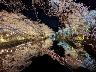 鹿野城跡公園の写真３