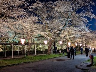 鹿野城跡公園の写真４