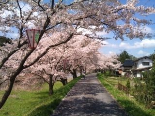 城山公園・法勝寺川土手の写真３