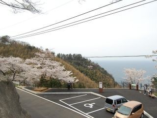 チェリーロードの写真３