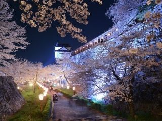 津山城の写真３