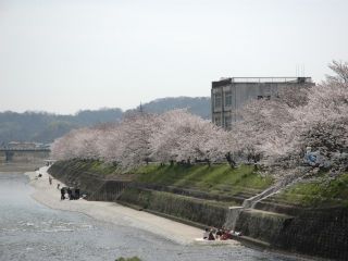 井原堤の写真４