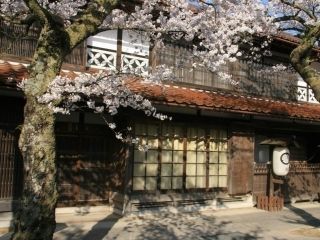 がいせん桜の写真４