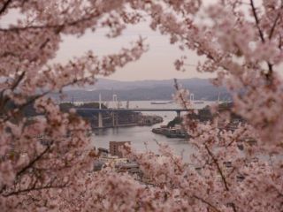 千光寺公園の写真３