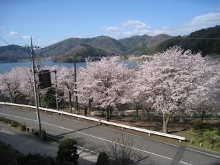 八千代湖周辺の写真3