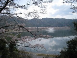 八千代湖周辺の写真4