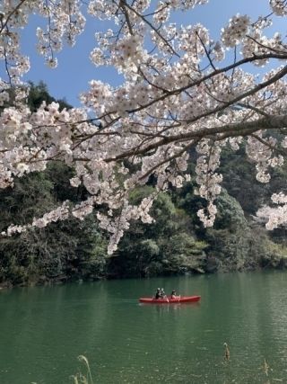 大原湖キャンプ場の写真3