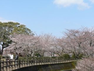 西部公園の写真３