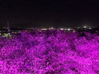 丸亀城の写真３