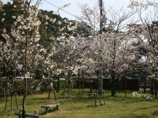 琴弾公園の写真３