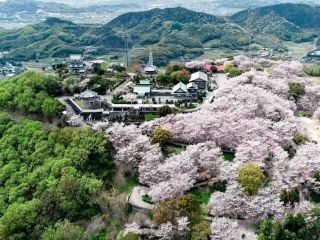 朝日山森林公園の写真3