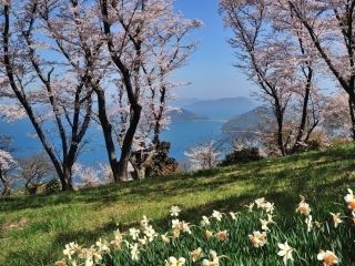 紫雲出山の写真３