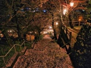 琴平公園の写真３