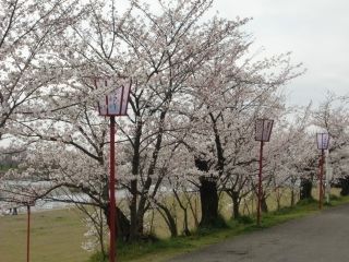 武丈公園の写真４