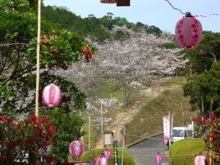 南レク城辺公園 大森山桜園の写真３