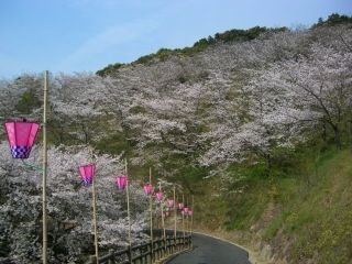 南レク城辺公園 大森山桜園の写真４