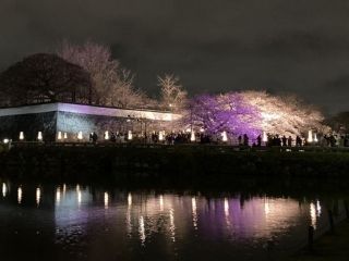 舞鶴公園の写真３