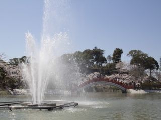 垣生公園の写真３