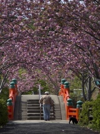 垣生公園の写真４