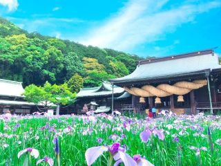 宮地嶽神社の写真４