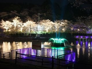 甘木公園の写真３