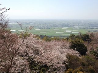 清水公園の写真３