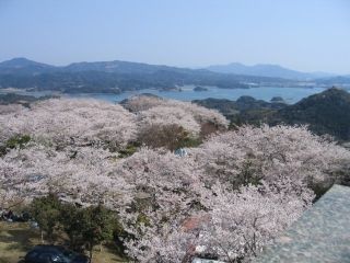 大山公園の写真3