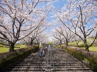 菊池公園の写真３