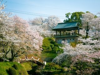 菊池公園の写真４