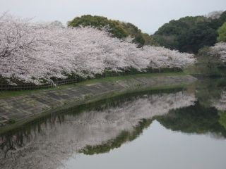 立岡自然公園の写真3