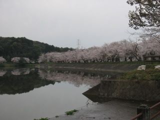 立岡自然公園の写真4