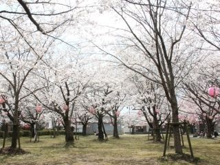 大貞公園の写真４