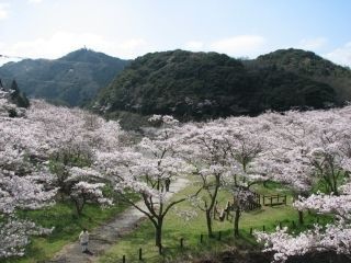 安岐ダム公園の写真４