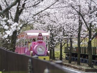 ハーモニーランドの写真３