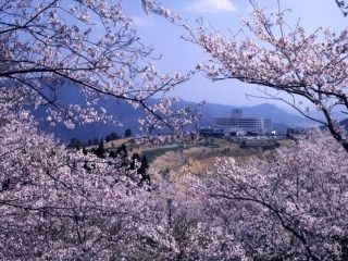 花立公園の写真４