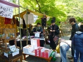 舞鶴公園（宮崎県）の桜写真２