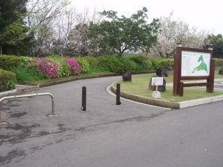 桜島自然恐竜公園の桜写真１