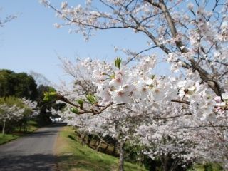 魚見岳の写真３