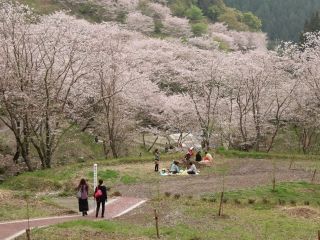 観音ヶ池市民の森の写真３