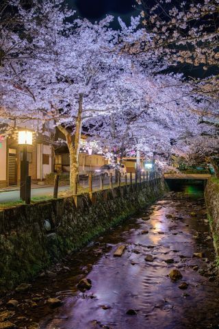 城崎温泉の写真３