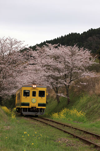 いすみ鉄道の写真３