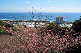 抱湖園の写真４