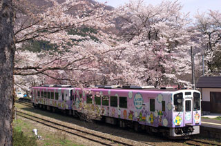 会津鉄道の桜写真２
