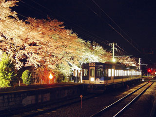 富士急行線 東桂駅の桜写真１