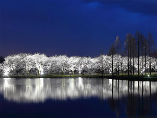 富山県中央植物園の写真３