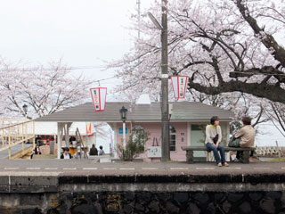 のと鉄道 能登鹿島駅（能登さくら駅）の桜写真２