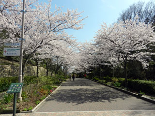 神戸総合運動公園の写真３