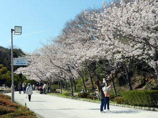 神戸総合運動公園の写真４