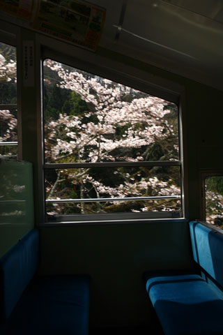 八瀬周辺・叡山ケーブル・ロープウェイの写真３