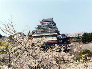 熱海城の桜写真１